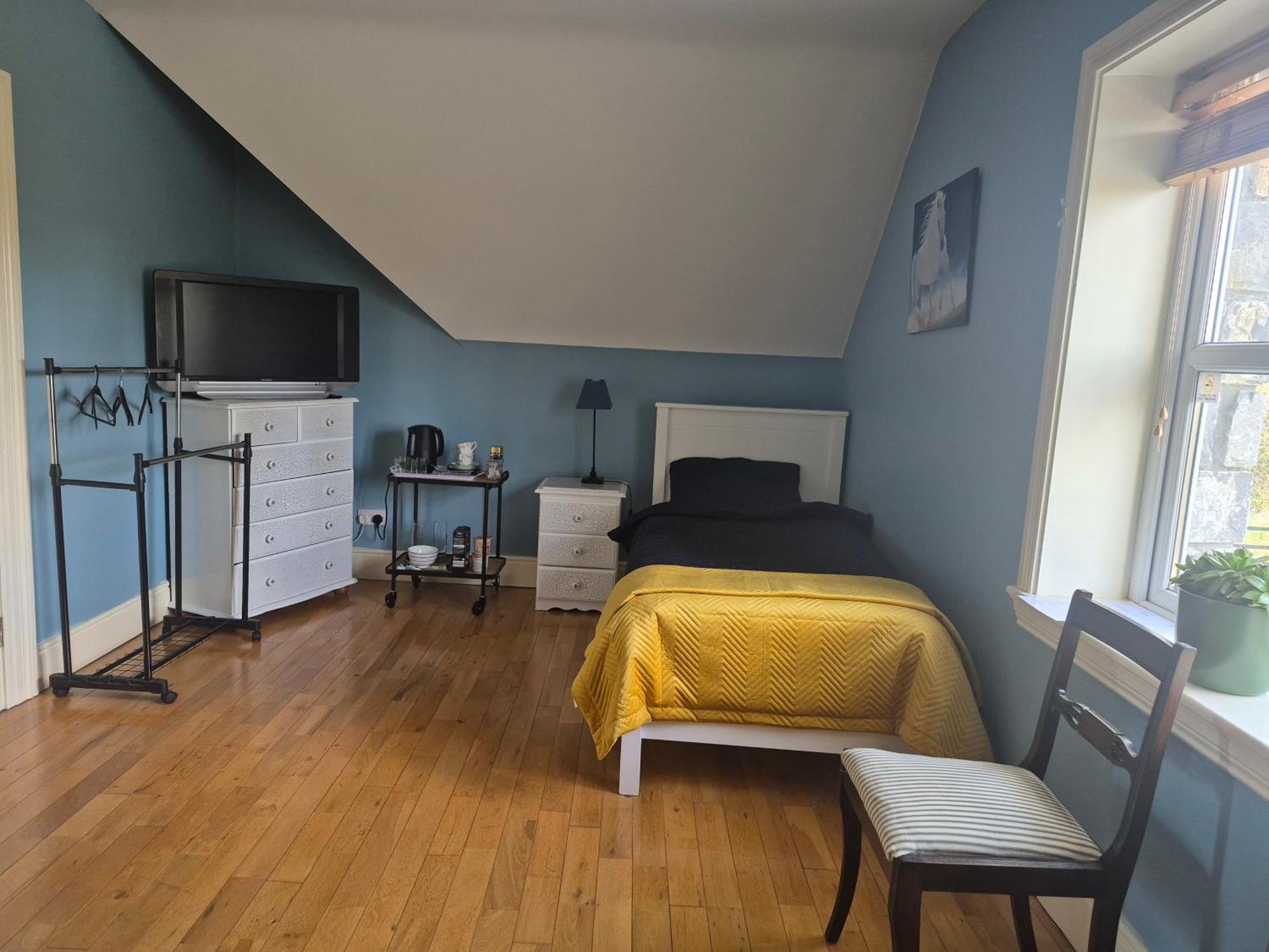 Ballinasloe Guest House In The Heart Of The Country Extérieur photo